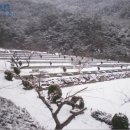 곡성-167 이미지