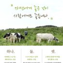 소정목장 | 항생제 걱정 없는 상하목장 유기농 우유, 200ml 24팩 실속 구성 추천