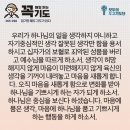 콩깍지 이미지