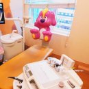 프린스앤프린세스치과의원 이미지