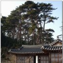 성북븟:[부엌]란蘭 | [스크랩] (3) 경포호의 정자들, 그 감탄과 실망