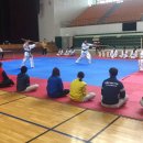 타이거태권도장 이미지