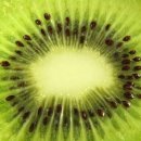 웅남동104 이미지