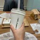 강남 퍼피라운지, 강아지 오마카세 댕마카세 다녀온 후기