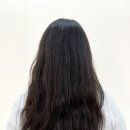 엠피아티클 이미지