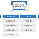 정한실업 | 질병퇴사 실업급여 후기 (자발적퇴사 자진퇴사 조건, 실업급여 받는 방법)