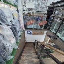 골프그룹알 | 하남 골프샵 비거리 아이언 추천｜요넥스 로얄이존·다이와 FF247 시타 구매 후기