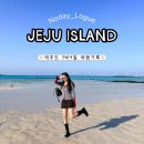 동광로1길 33-4 | 2월 3월 제주도 3박4일 여행코스 총정리 [먹방·뷰맛집·동선까지 완벽 코스💚]