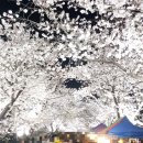 서천둔치 화장실 네이버블로그