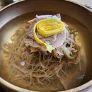 은평-044 | 세종시 평양냉면맛집 성산옥 세종예술의전당점 성산면상 솔직후기