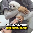 동물병원 유피 이미지