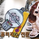 미미 (美美) 이미지