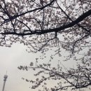 미래무도학원 이미지
