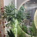 연세미즈산부인과의원 이미지