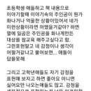 자기 생각 없이 밈으로만 대화하는 현상 이미지