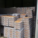 판이농장 이미지