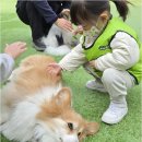 꿈이크는어린이집 이미지