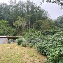 양평전원공인중개사사무소 이미지