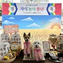 24시 온동물의료센터 이미지
