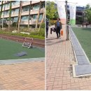 예일초등학교 이미지