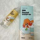 삼 덴탈 | JUNGLE MONSTER 정글몬스터 캣 덴탈워터 대용량 펌핑형 출시! 강아지 공용 마시는 치약 사용 후기 🦷🪥