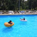 백합펜션 이미지