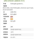 선명조경관리 이미지