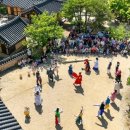 선비태권도 이미지