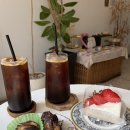 부평문화로53번길 | [인천/부평] 야장계절에 매우 핫한 ‘막걸리집 개코네’ 옥상 갬성에서 먹는 술 한잔 최고!