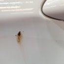 제이아트디테일링 이미지