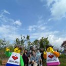 춘천 레고랜드에 다녀오다. 한국 테마파크 첫번째, 세계 10번째 레고랜드. 미취학 아동들의 천국