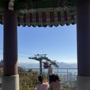 봄이 아빠의 댕댕이 간식 | 네 살 여섯 살 아이들과 목포 유달산 일등바위 등산 후기