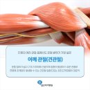 일산하이병원 이미지