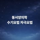 유사 의료업