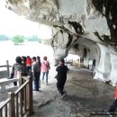 정광공원 이미지