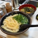 난바우동 - 천안시 서북구 서부16길 22 | [일본 오사카 맛집추천] 오사카 “난바 우동” 내돈내산 후기🌟현지 분위기 제대로 느낀 일본 우동 한그릇🍜