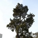 2012.01.14~15 서울투어~4 (연세대) 이미지