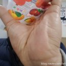 보신촌 - 예산군 | 보신촌