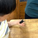 주한농장 | 곤충에 관심있는 아이 종착역은 애완곤충 키우기 굼벵이브라더스 방문후기