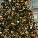 오태식해바라기치킨 화정방어점 | 겨울 제주도 3박4일( 렛츠런파크,제동목장,새우리,크리스마스마켓,한라산 전면통제) ⛄️