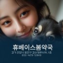 휴베이스봄약국 이미지