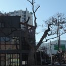 지산초등학교 정문 앞 이미지