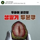 모찌나가