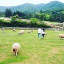 축산마을농장 연합뉴스