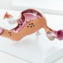 프리샤산부인과의원 이미지