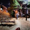 [야간]단전호흡 이미지