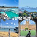 뉴해안풍경 | 호주 시드니 여행 공항픽업 본다이비치 동부해안 시드니대학교