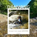 두꺼비 방역 | 단양 소백산 남천 야영장 Ⅰ 계곡 물놀이 가능한 국립공원, 리모델링 후 명당부터 히든 스폿까지 총정리