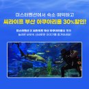 부산관광공사 노동조합 | [부산] 여행 숙소예약 꿀팁 -미스터맨션 추천 / 서면 숙소 - 스테이온띵 추천