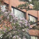 서유목장 이미지